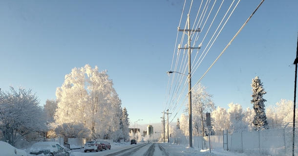 Anchorage Alaska street and trees jan   at pm 