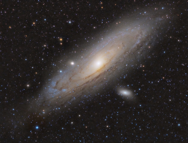 Andromeda galaxy  by Luca X