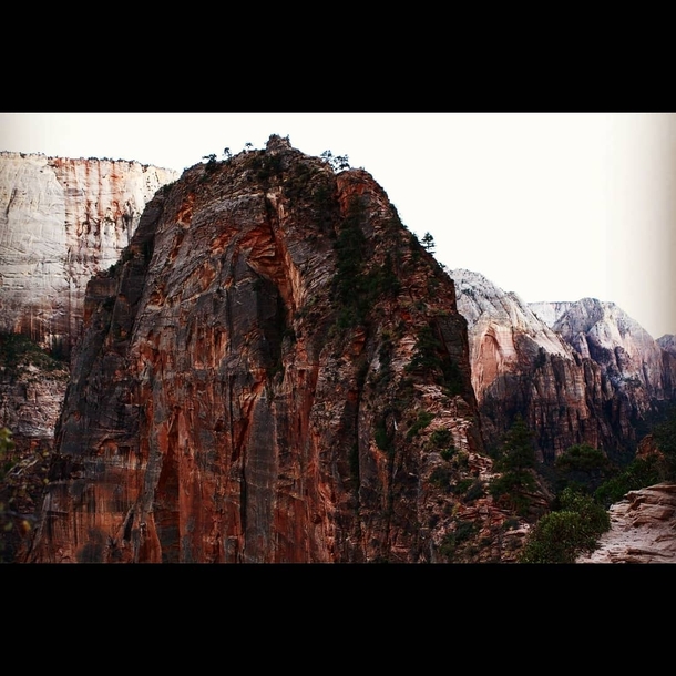 Angels landing hike in Zion National Park One of my favorite hikes so far 