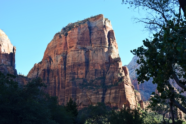 Angels Landing seen from the Zion Canyon floor UT 