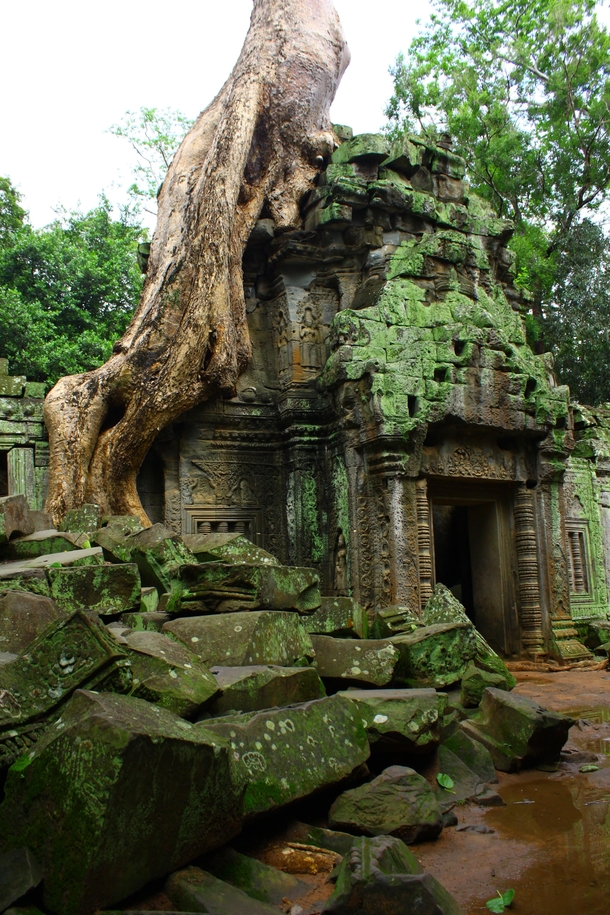 Angkor Wat  