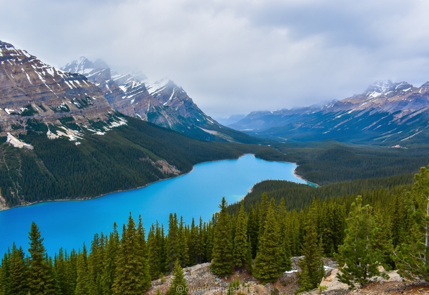 Another photo from my trip to the Canadian Rockies Peyto Lake Alberta