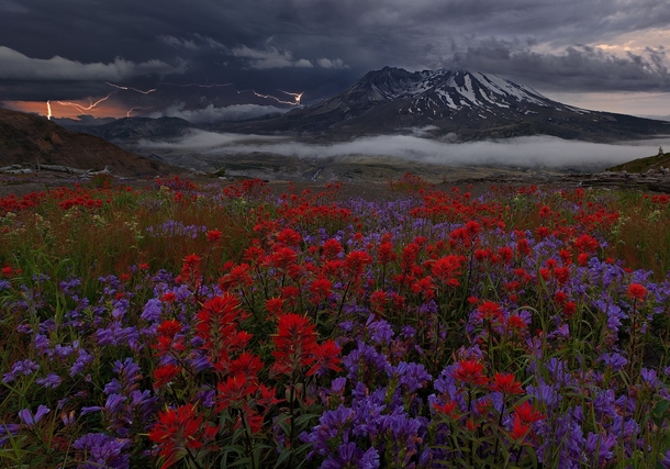 Apocalypse Now- Mt St Helens Washington 