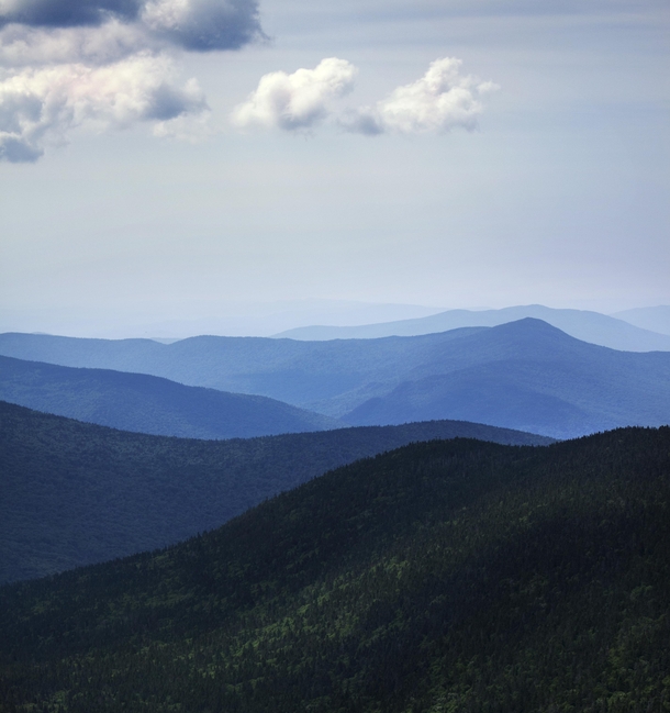 Appalachian Wilderness  White Mountains NH 