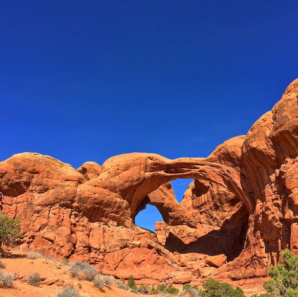 Arches National Park OCx