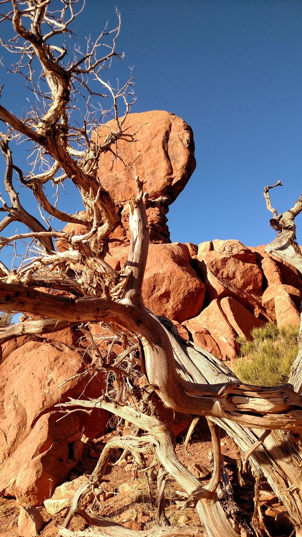 Arches National Park Utah  OC