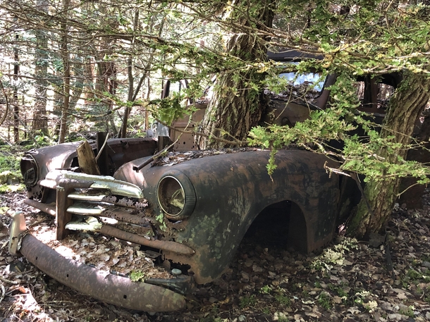 Are we still posting abandoned cars with trees growing through them  Chevrolet Fleetline Sportsmaster