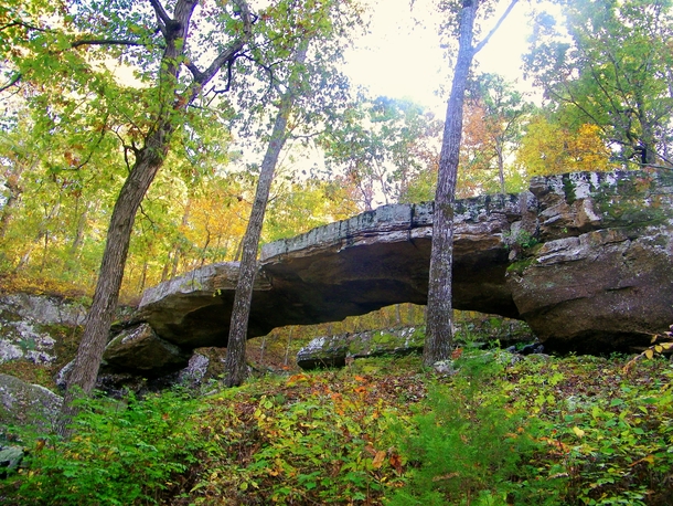 Arkansas Version Of A Natural Bridge 
