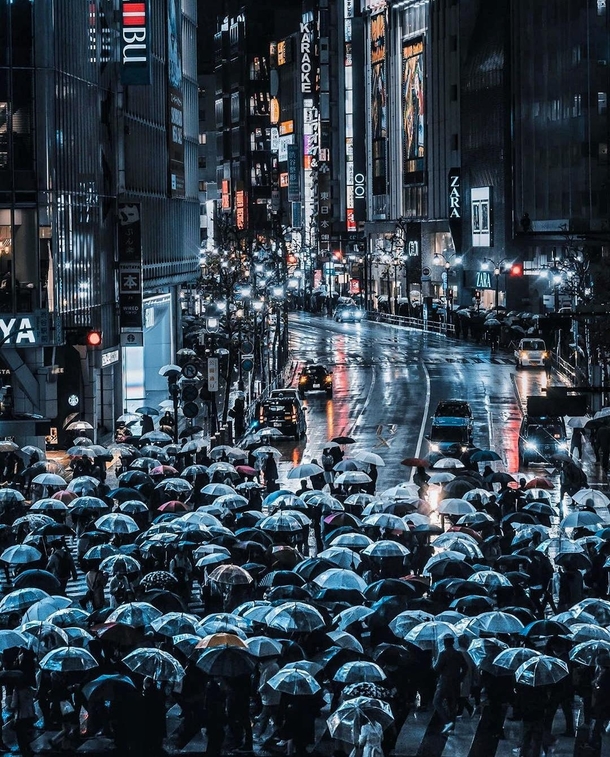 Army of umbrellas in Shibuya Tokyo