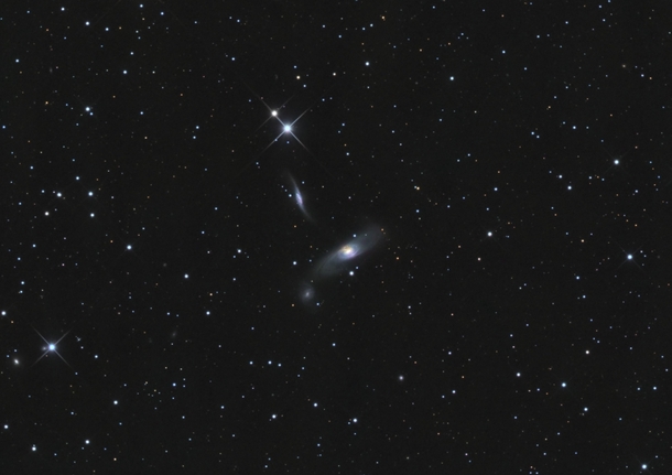 Arp  Galaxy Cluster 