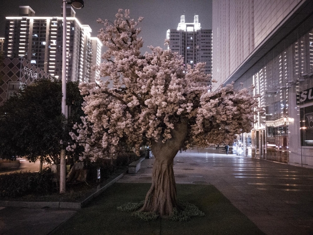 Artificial tree in Wuhan 