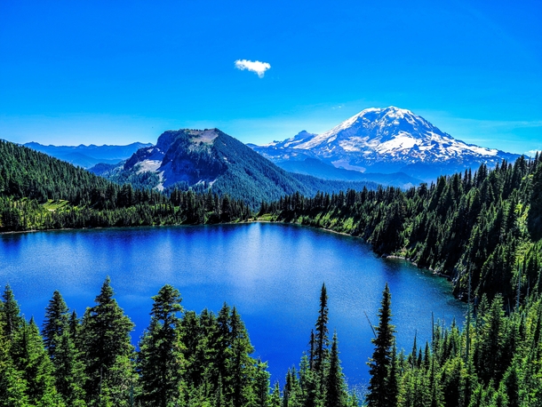 As the new year comes in I look forward to another Washington summer Mt Rainier WA 