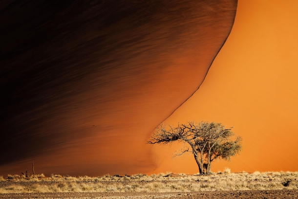 At the foot of a giant dune in the Namib Desert  photo by Marina Sorokina