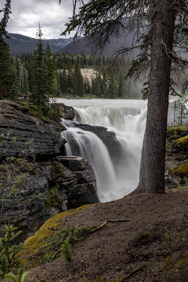 Athabasca Falls Jasper AB  x