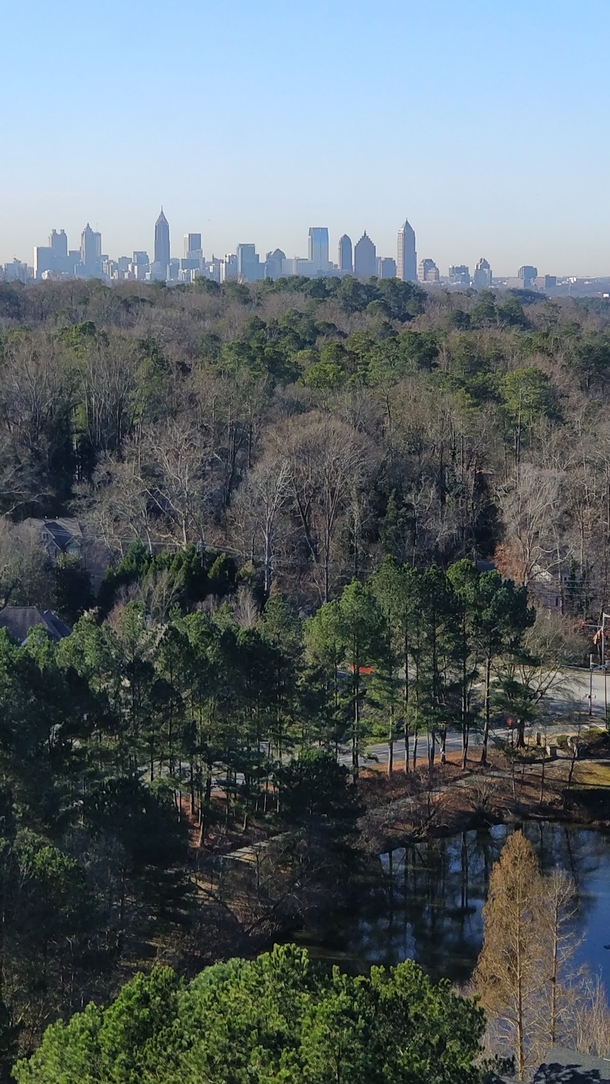 Atlanta the city in a forest