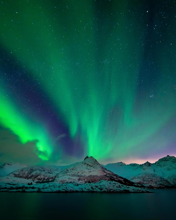 Aurora Borealis aka Northern Lights captured February  in the Lofoten Islands Northern Norway OC x