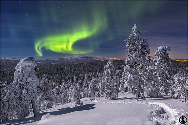Aurora Borealis over the forest of the Pyhae Luosto National Park Finland 