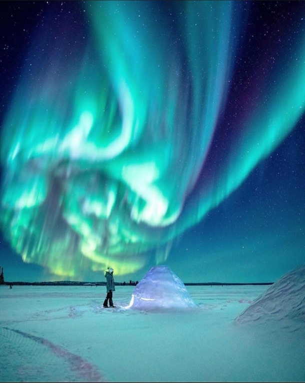 Auroral Beauty