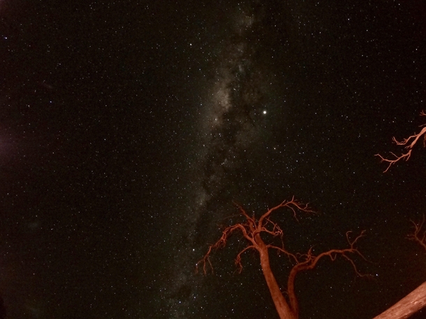 Australian night sky The red tree is from the light from a bonfire Shot on a GoPro 