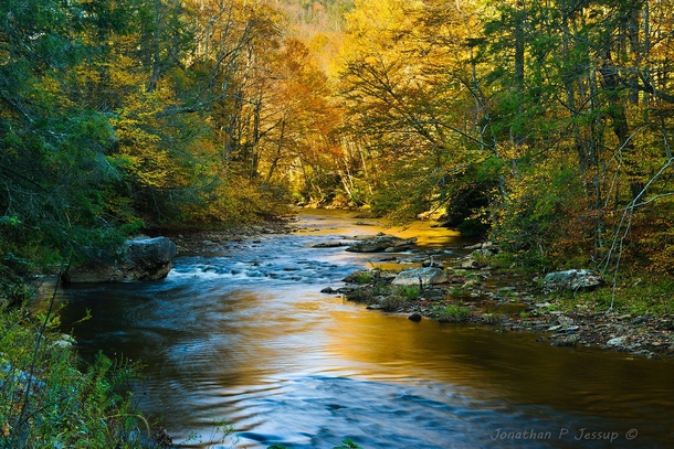 Autumn colors at a wild river central Appalachians 
