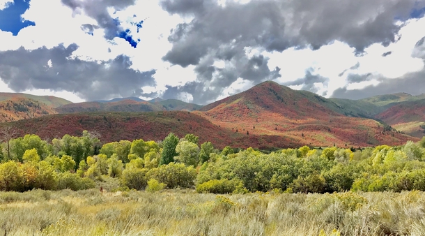 Autumn colors in the Wasatch Mountains near Midway Utah 
