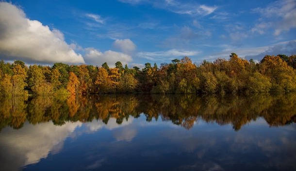 Autumn colours by a lake in Derbyshire uk 