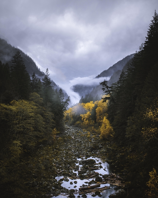Autumn fog in the North Cascades  x