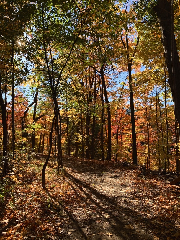 Autumn Hike Hamilton Ontario 