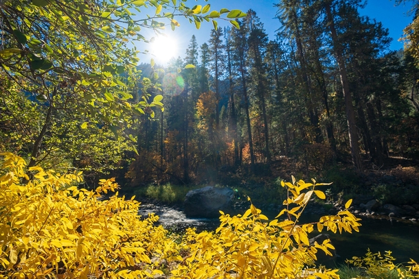 Autumn hiking in Yosemite  IG jensenpat