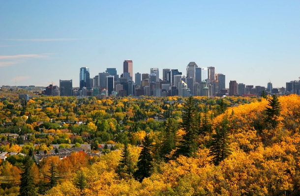 Autumn in Calgary Alberta 