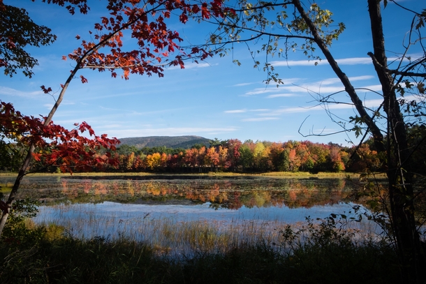 Autumn in Maine 