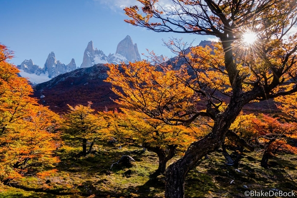 Autumn in Patagonia Mt Fitz Roy Argentina - by Blake DeBock Photography 
