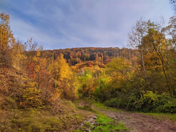 Autumn in the Carpathian Mountains Transcarpathia Ukraine 