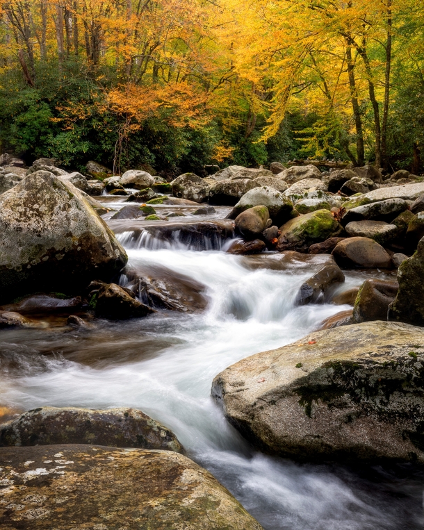 Autumn in the Great Smoky Mountains National Park 