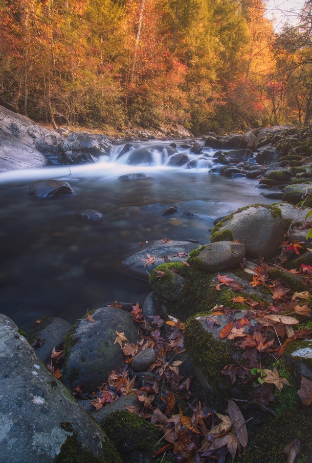 Autumn in the Smoky Mountains is hard to beat 