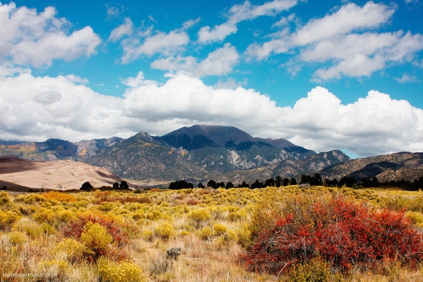 Autumn is coming to Colorado - Great Sand Dunes National Park CO 