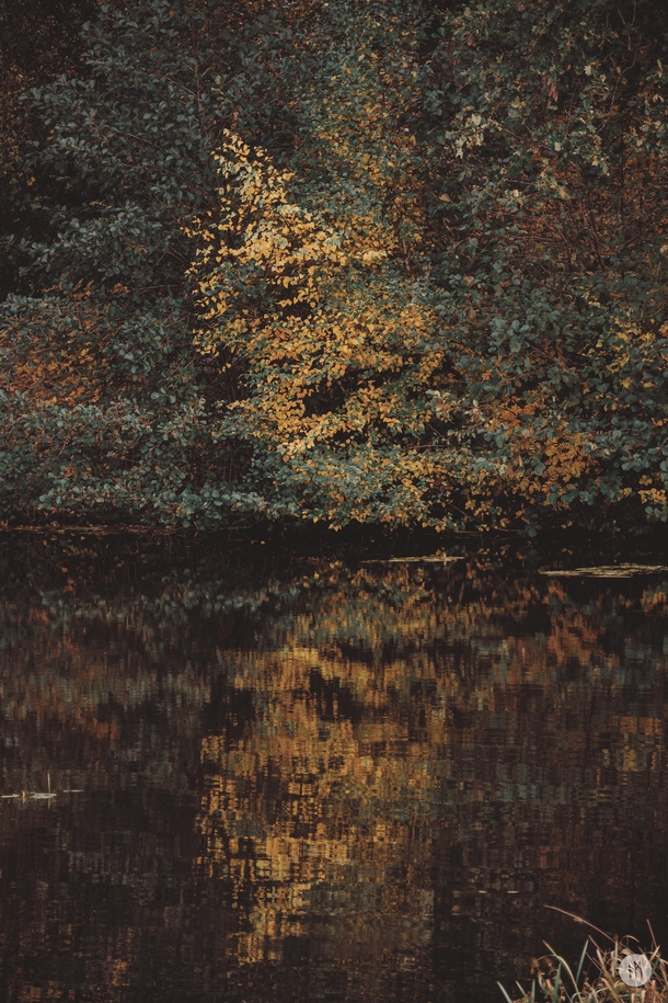 Autumn Reflections Netherlands  IG hendrikmathijsphotography