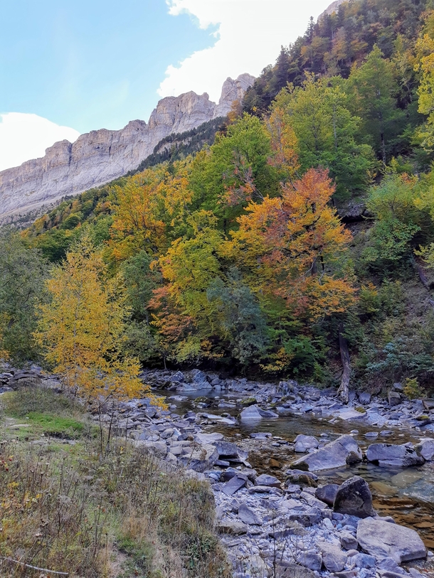 Autumn starting to show its full colors in the Spanish pyrenees  
