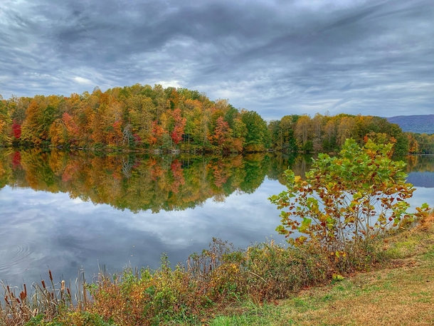 Autumnal reflection at Beavercreek Virginia  IG juliend