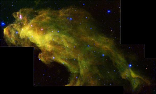Baby Stars in the Witch Head Nebula 