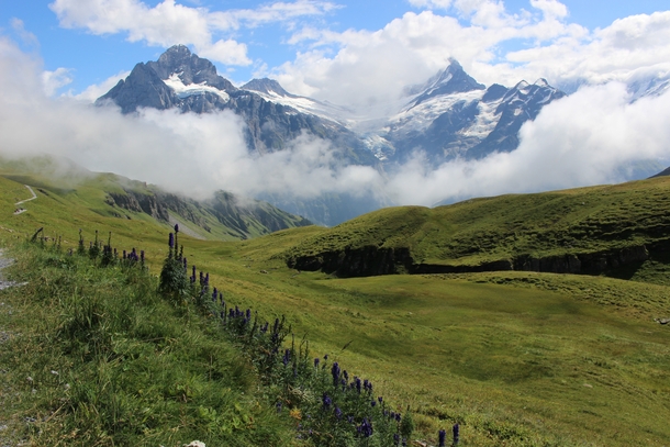 Bachalpsee Trail Swiss Alps 