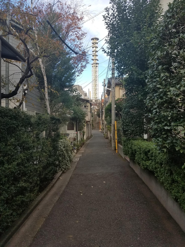 Back street of Yotsuya tokyo Japan