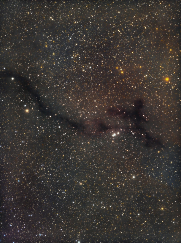 Barnard  Dark Nebula 