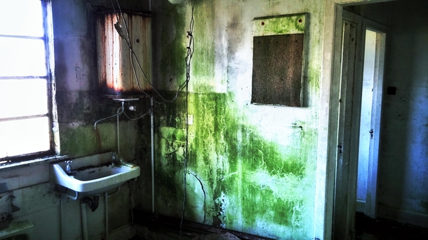 Bathroom in an abandoned hospital 