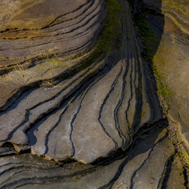 Beach Rock Detail -  x  OC Beadnell Bay Northumberland Coast UK