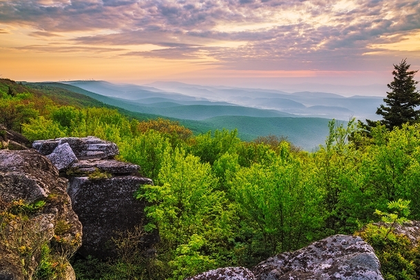 Bear Rocks Dolly Sods - West Virginia 