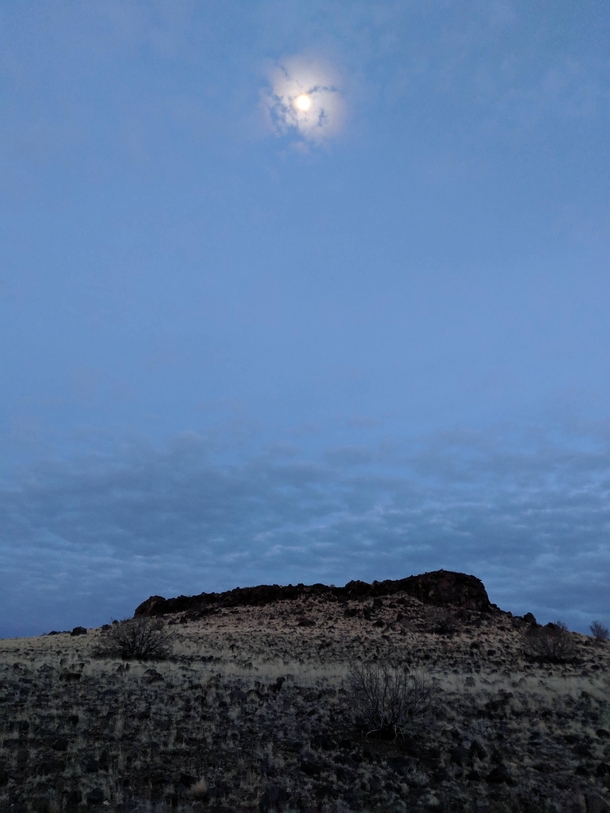 Beautiful Arizona under moon light 