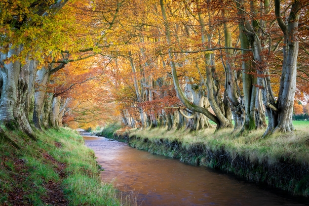 Beautiful Autumn colours Templepatrick Northern Ireland 