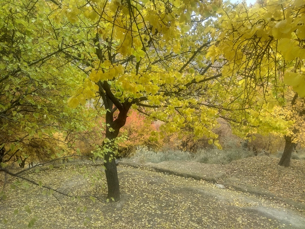 Beautiful Autumn Hunza Nagar Valley 