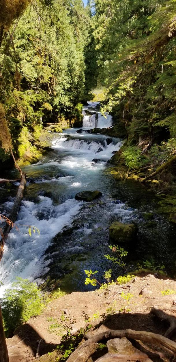 Beautiful cascade section of the McKenzie River 
